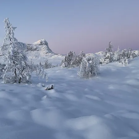 New Timber With Stunning Views And Comfort * Beitostolen
